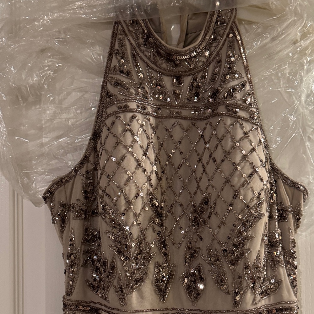 Adrianna Papell Beige Embellished Dress